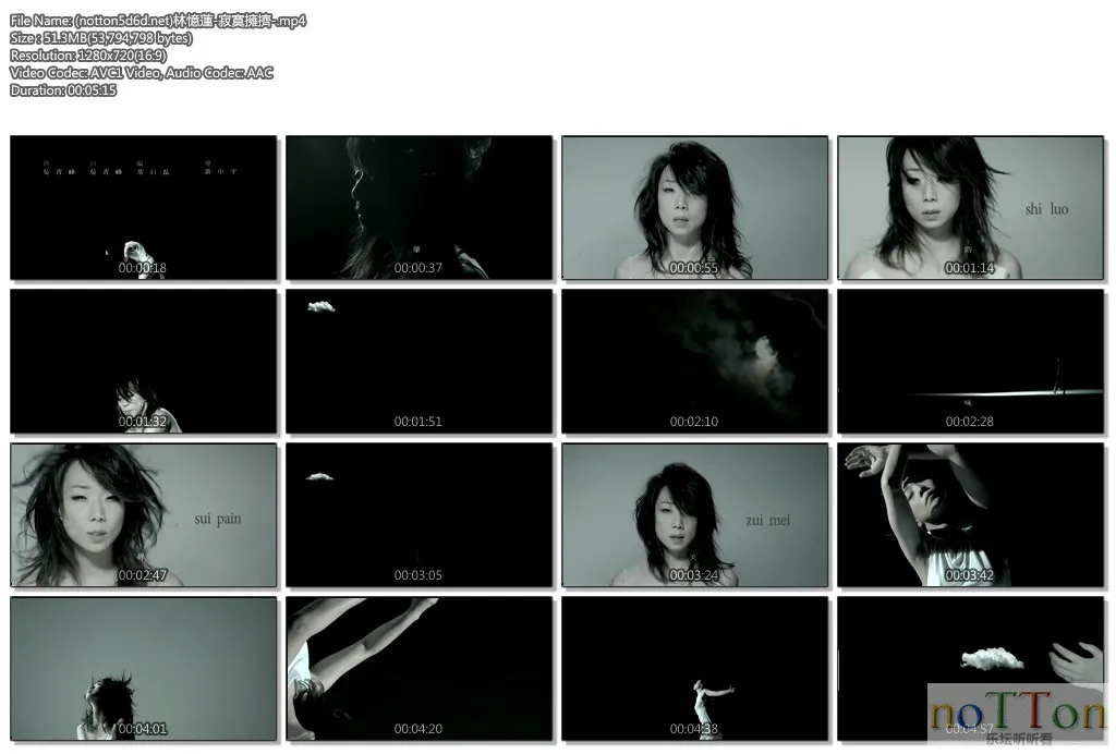 (notton5d6d.net)林憶蓮-寂寞擁擠-.mp4.webp