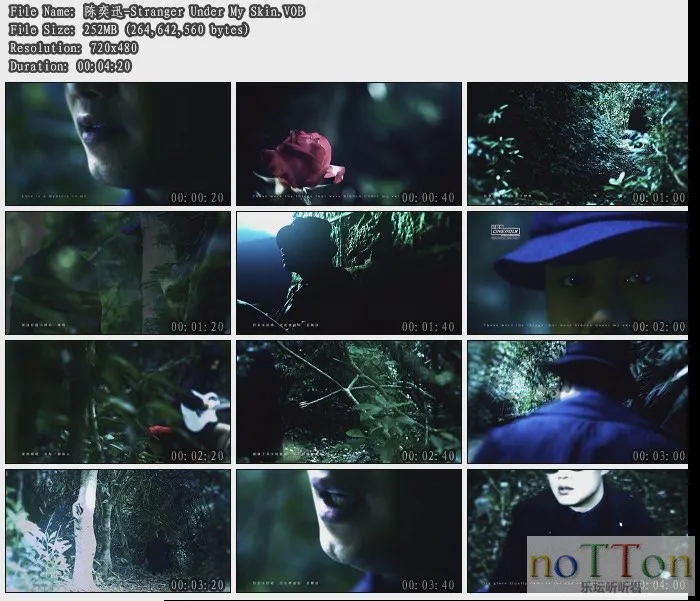 陈奕迅-Stranger Under My Skin.webp