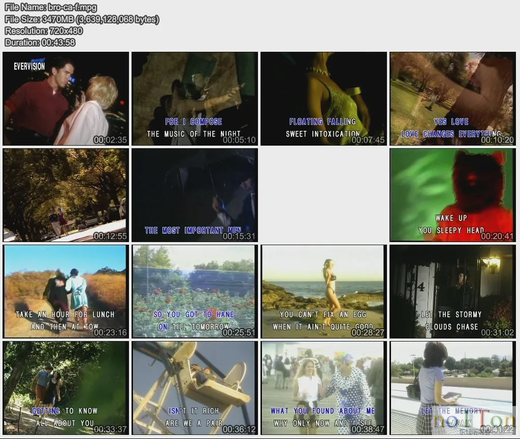 bro-ca-f - 副本.webp