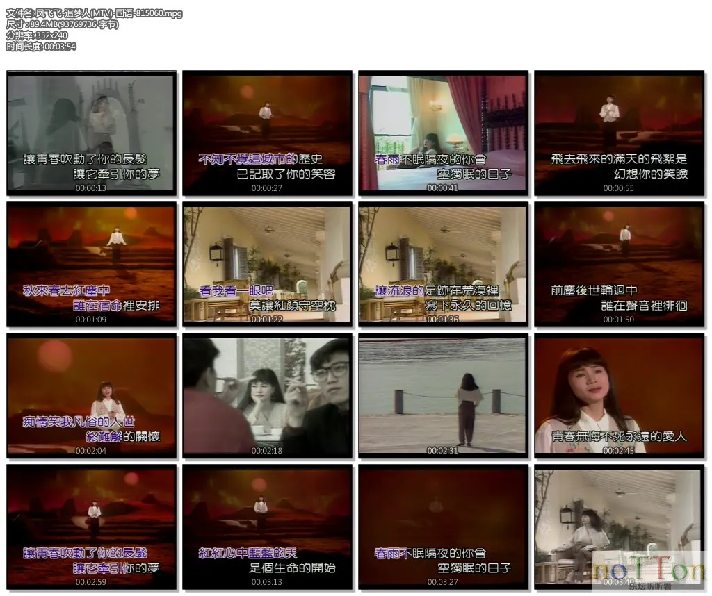 凤飞飞-追梦人(MTV)-国语-815060.mpg.webp