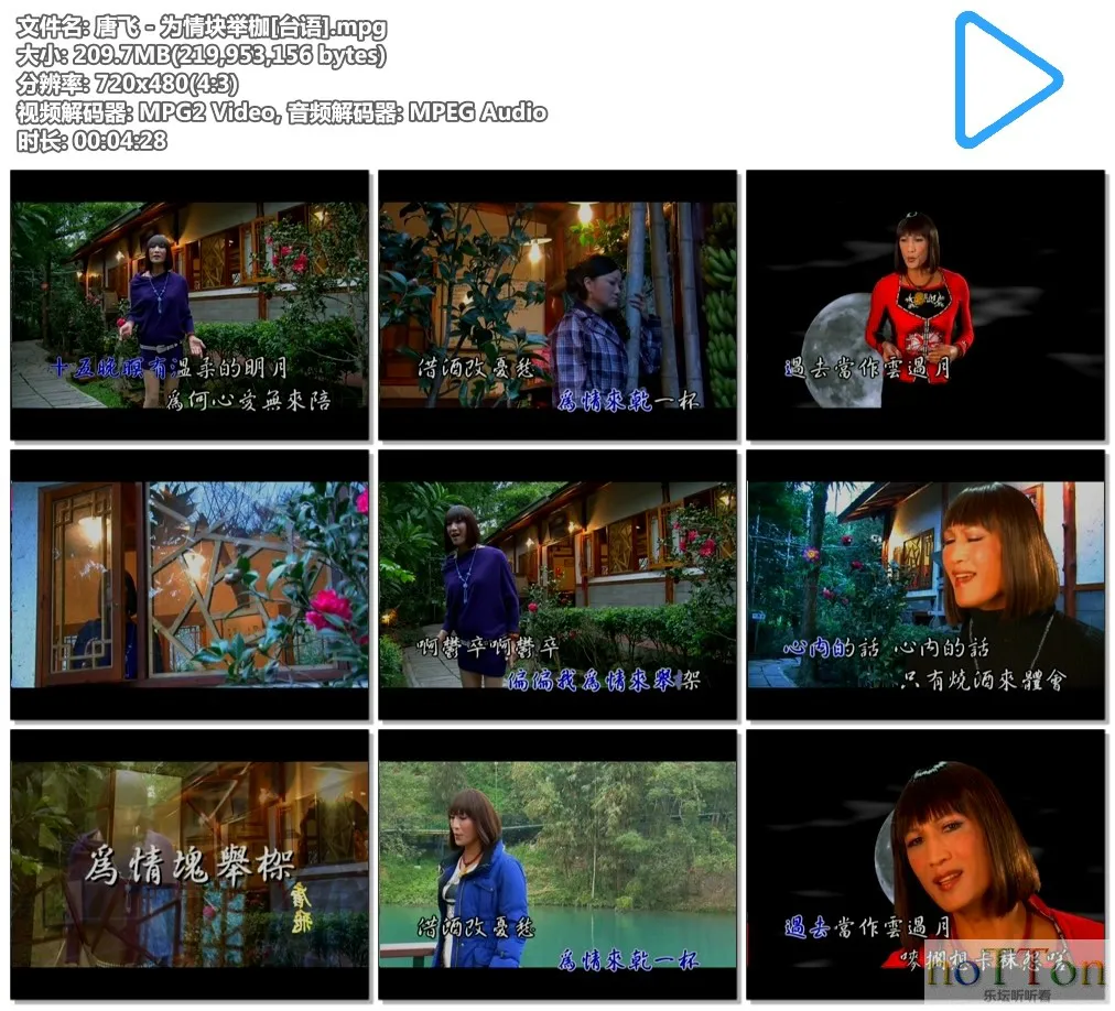 唐飞 - 为情块举枷[台语].mpg.webp