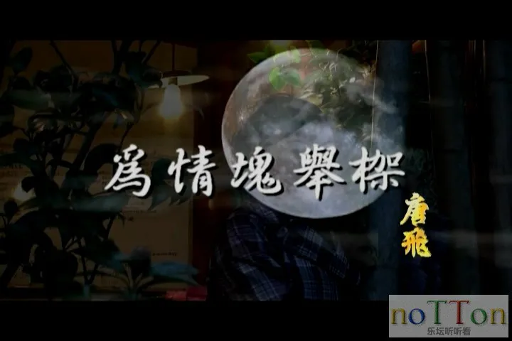 唐飞 - 为情块举枷[台语].mpg_20141019_111432.086.webp