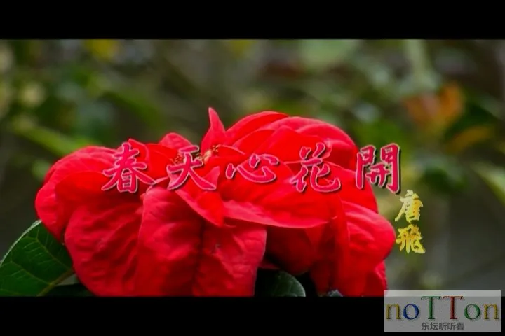 唐飞 - 春天心花开[台语].mpg_20141019_194815.737.webp