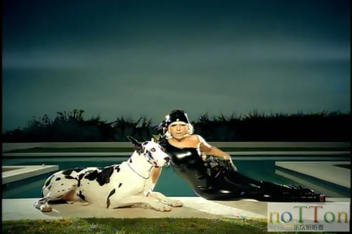 Lady Gaga-The Fame (3).webp