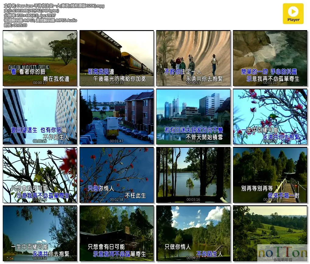 Dear Jane-不许你注定一人(粤语)(钱柜原版 320K).mpg.webp