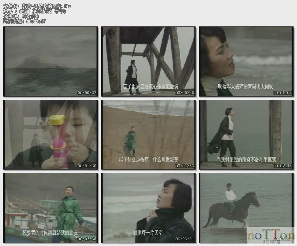 苏芮-风是我的朋友.flv.webp