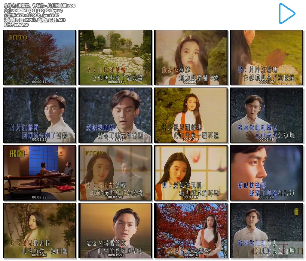 张智霖、许秋怡 - 片片枫叶情.VOB.webp