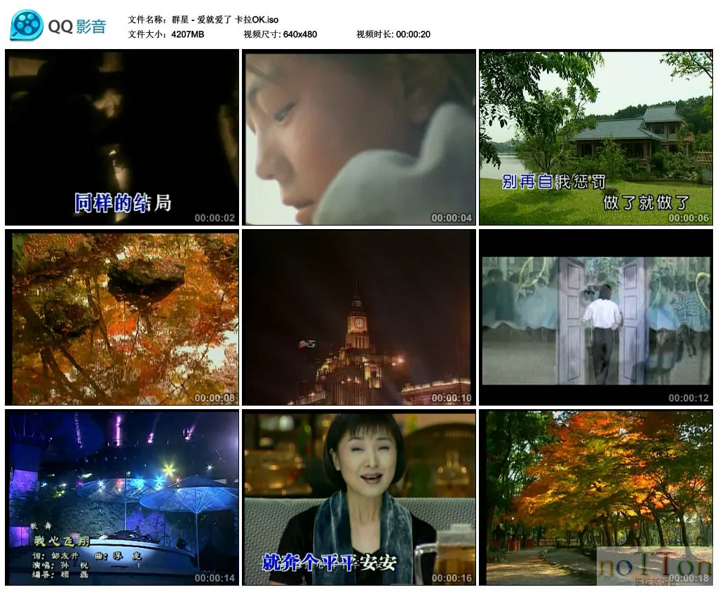 群星 - 爱就爱了 卡拉OK.webp